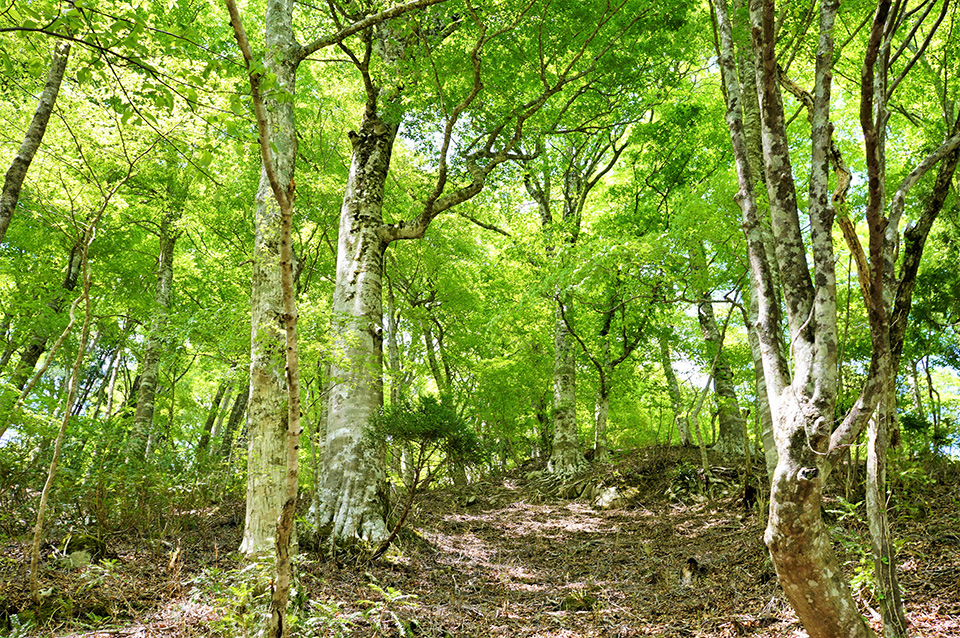 生命の循環の一部となる、循環葬®︎「RETURN TO NATURE」の埋葬の形